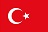 Translate to Turkish 